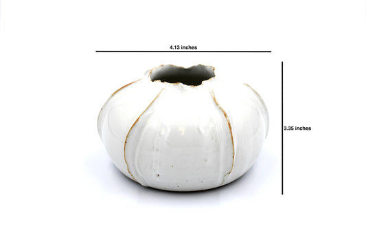 White Rose Apple Decor