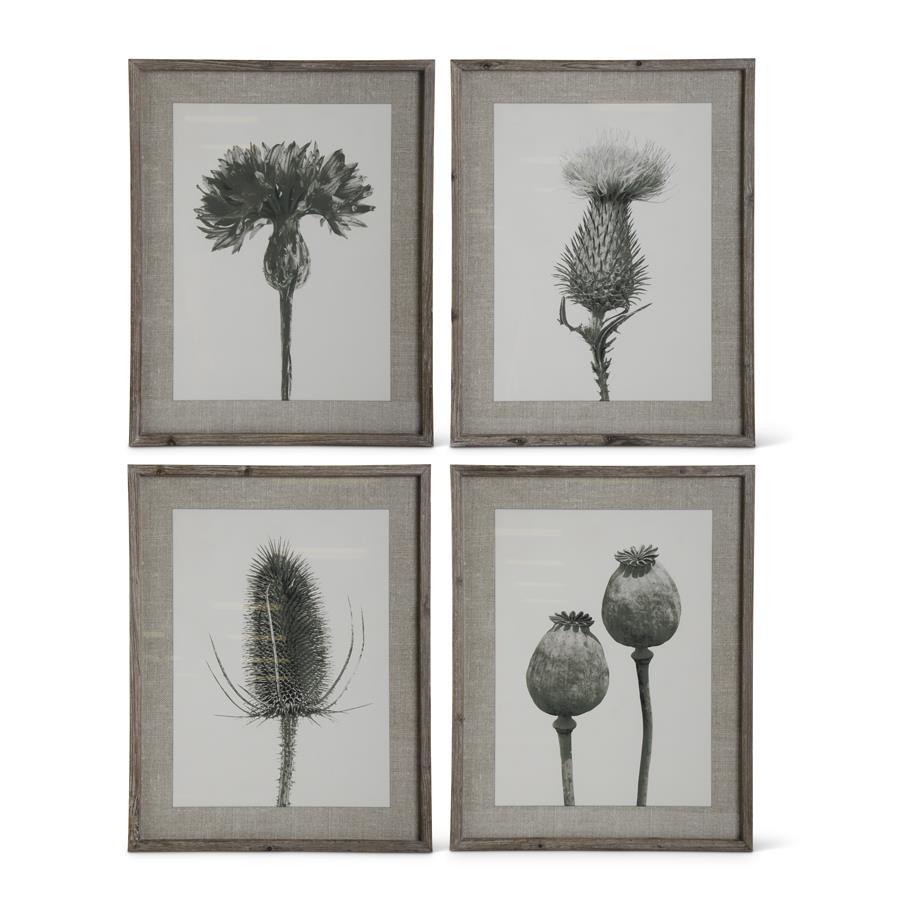 Framed Floral Stems