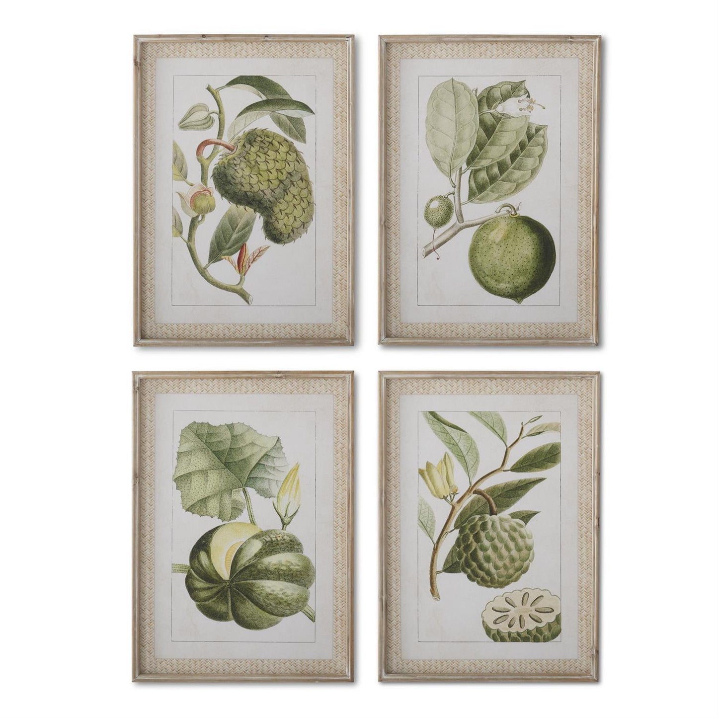 Framed Melon Prints