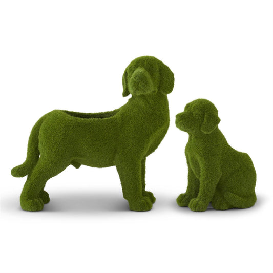 Mossy Dog Containers