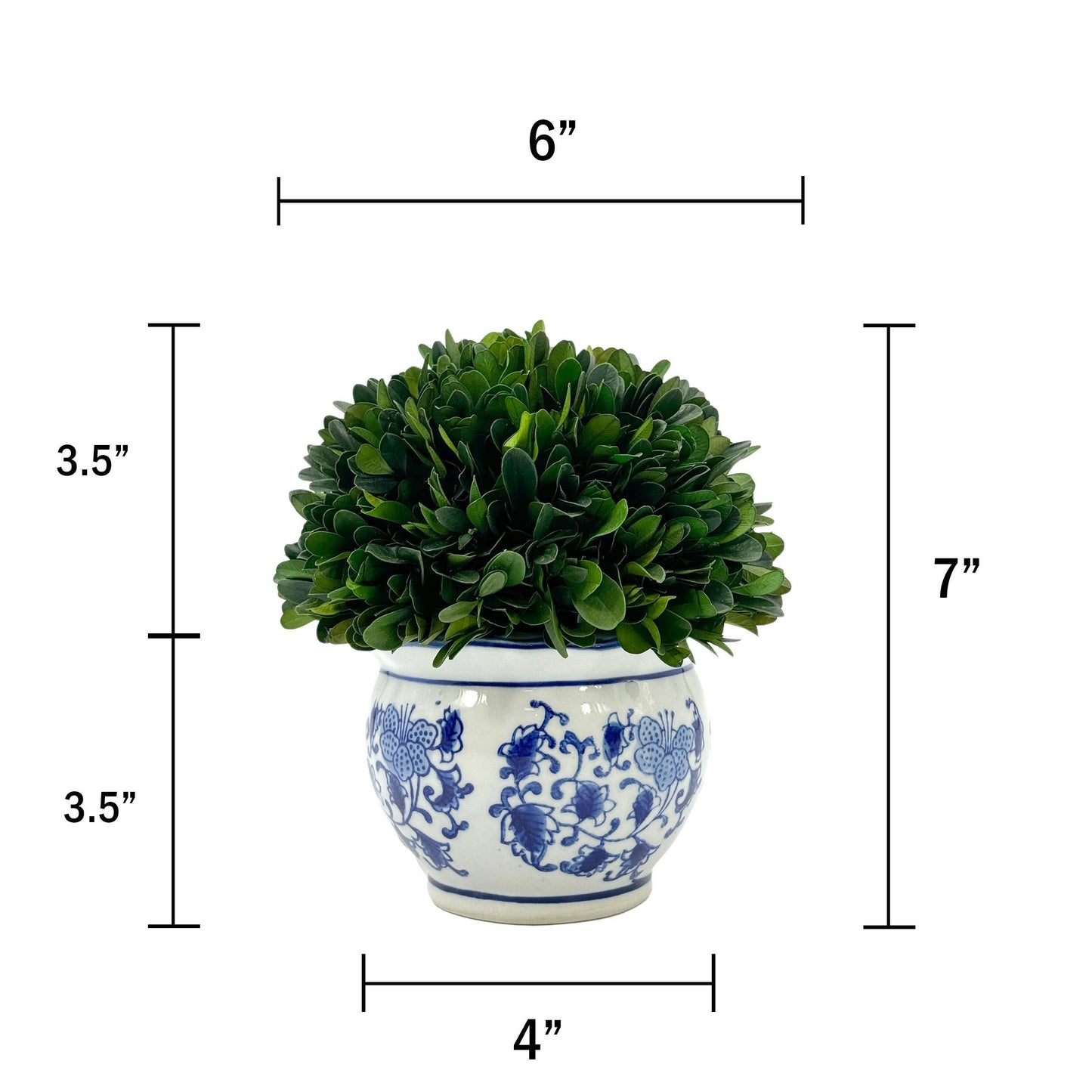 Boxwood Ball Topiary in Pot