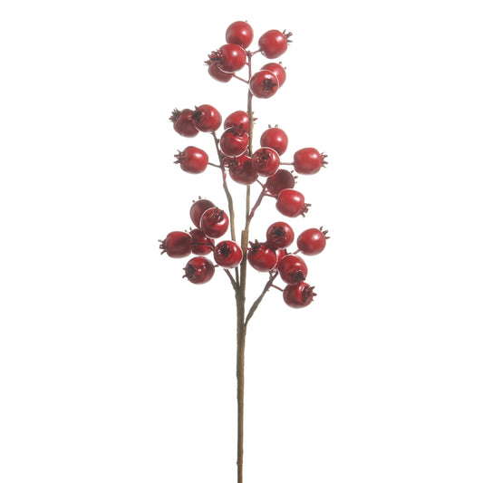Red Berry Pod Spray