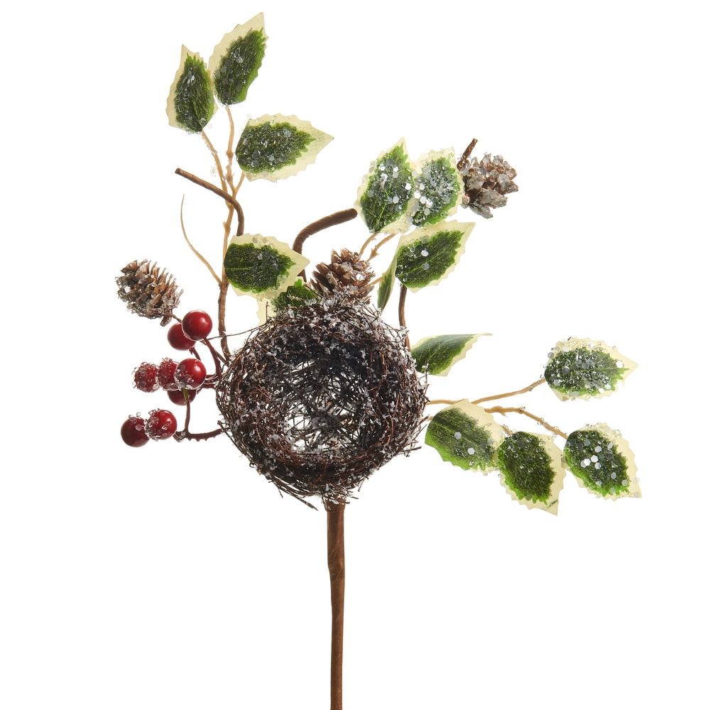 Iced Nest with Holly