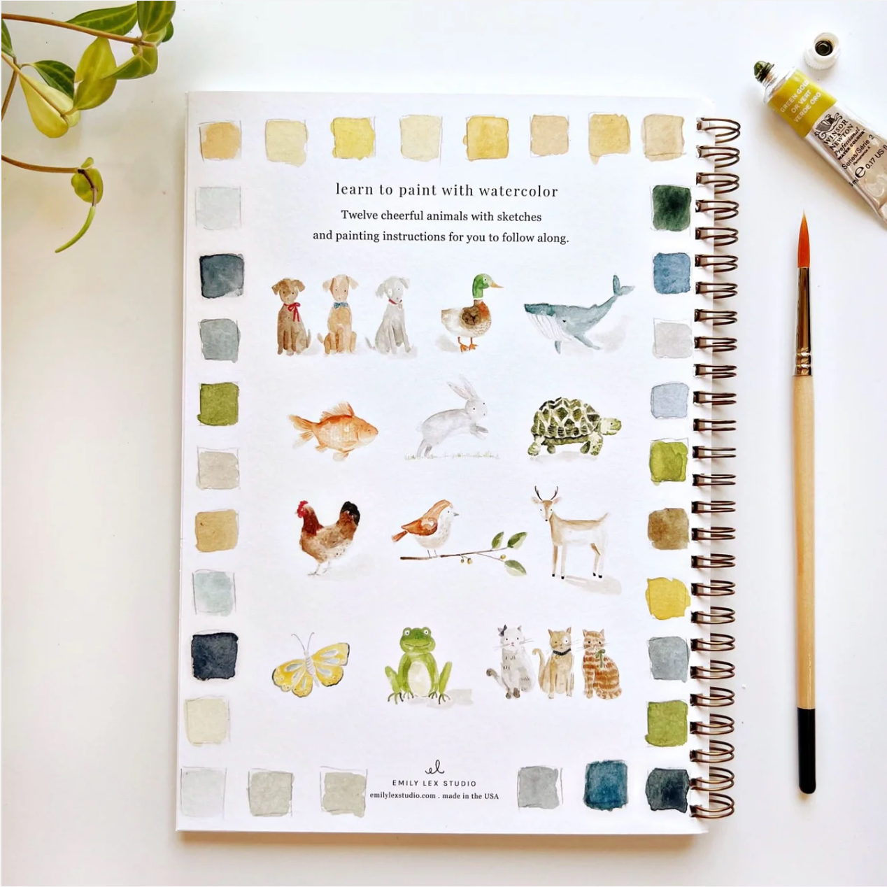 watercolor workbook