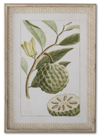 Framed Melon Prints