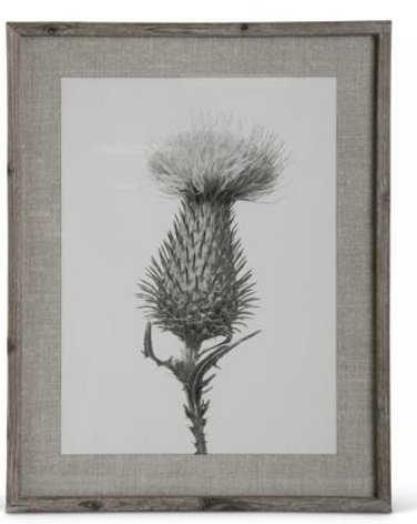 Framed Floral Stems