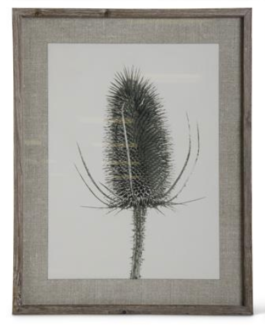 Framed Floral Stems