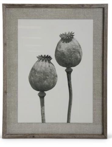 Framed Floral Stems