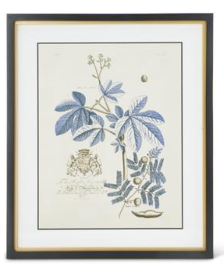 Blue Arbor Botanicals Framed