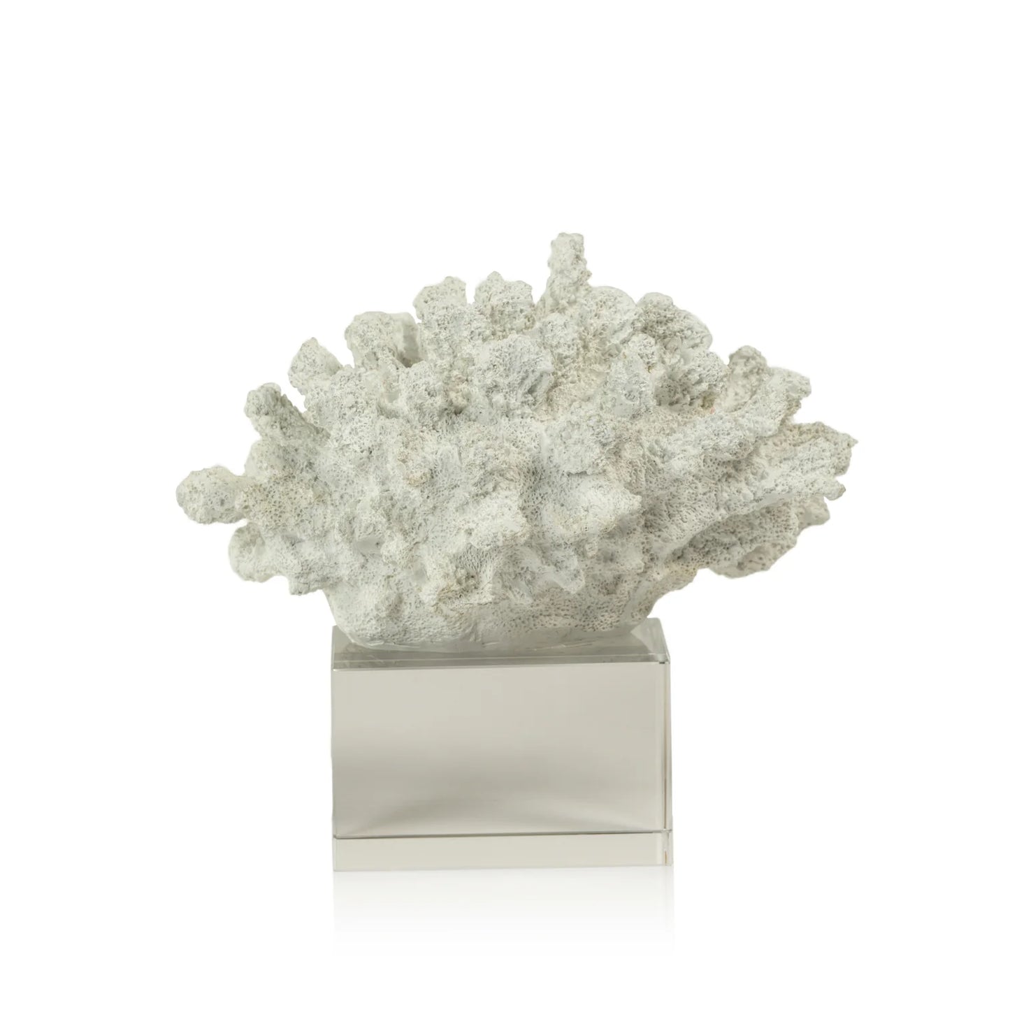 White Wide Coral on Acrylic