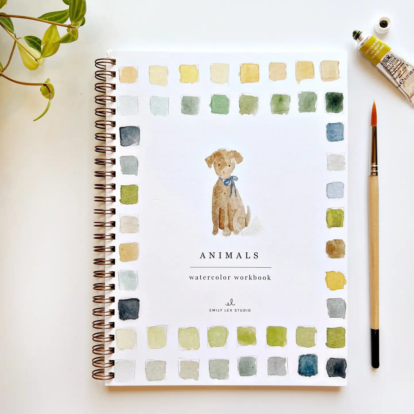 watercolor workbook