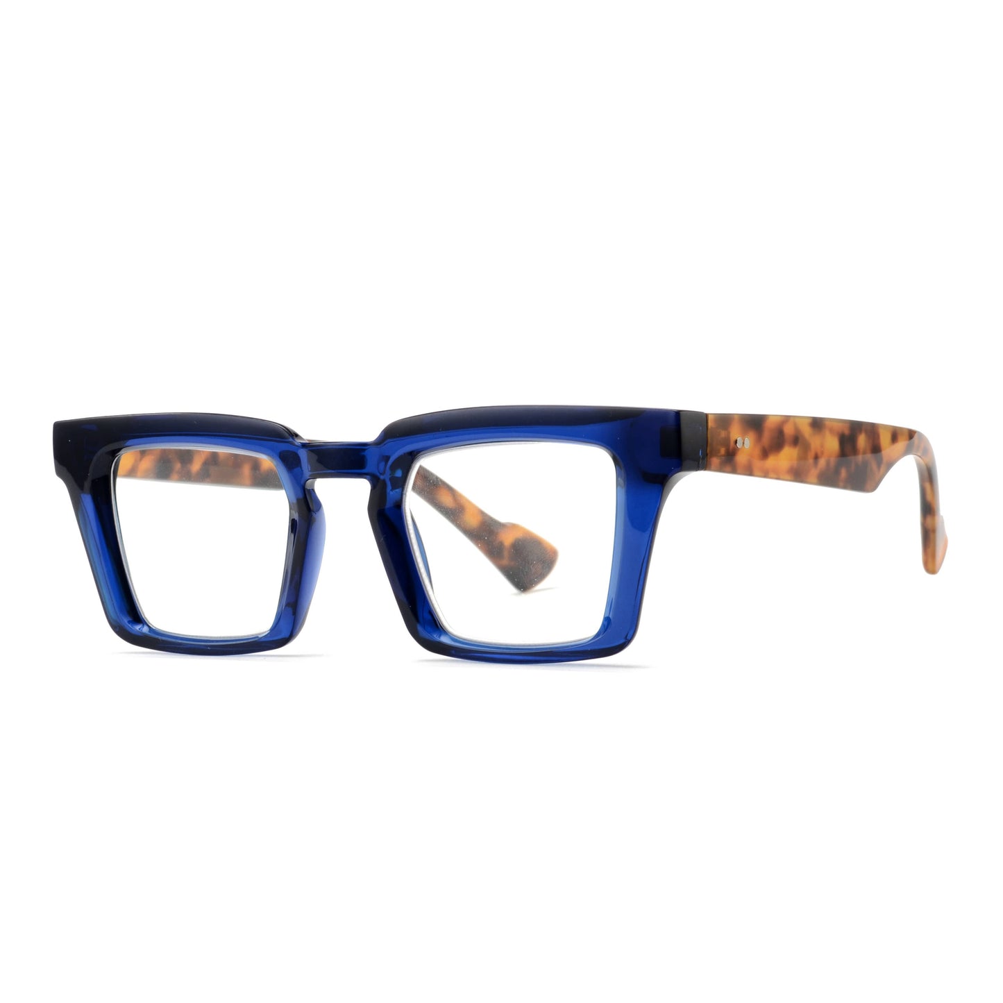 Blake Navy Blue Tortoise