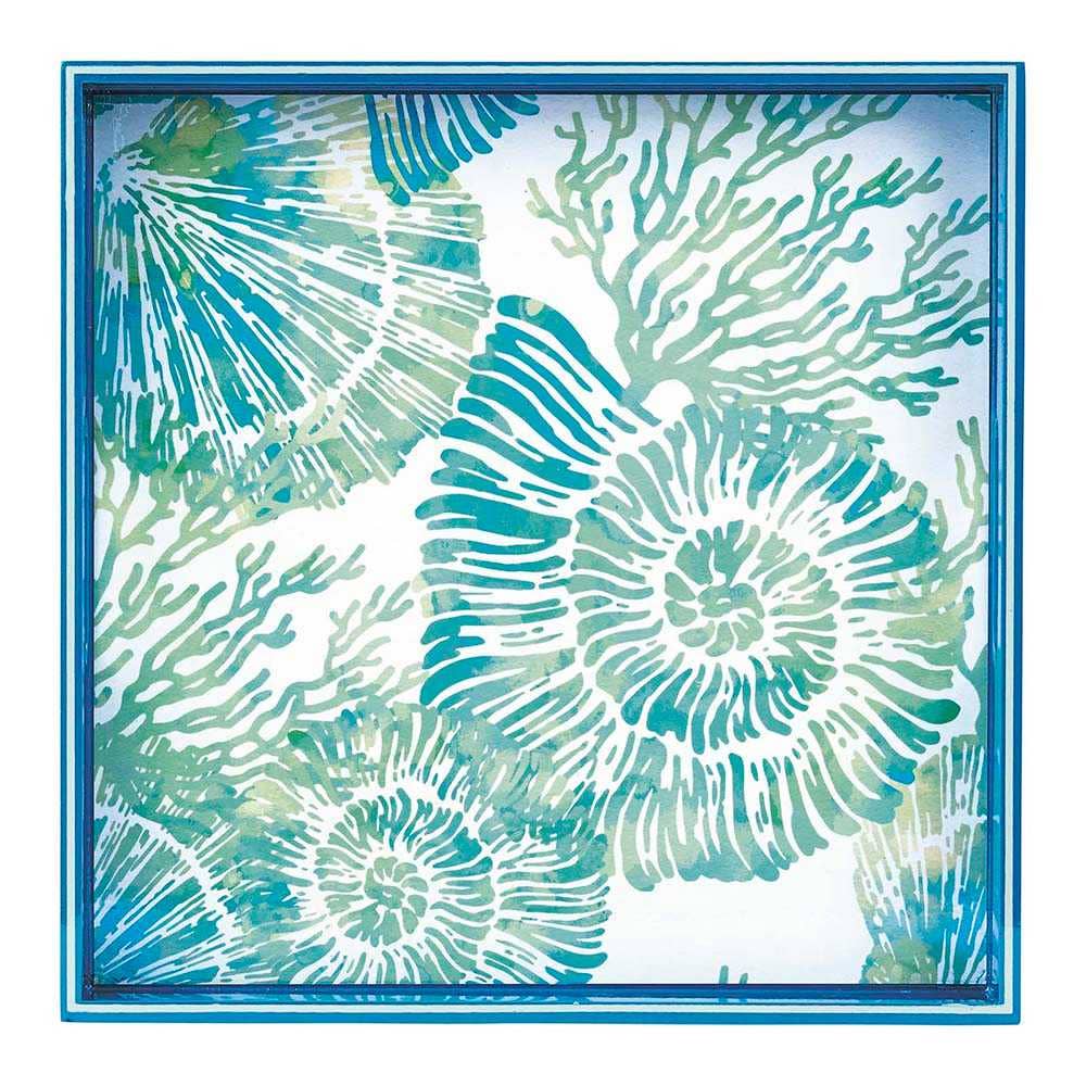 Nautilus Shells Tray
