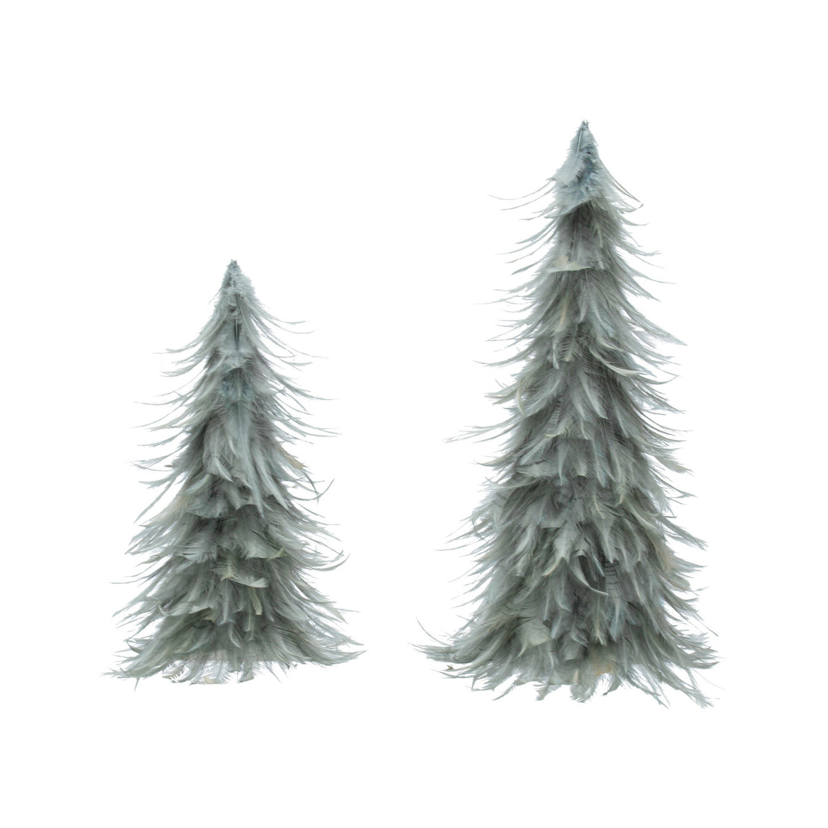 Grey Feather Trees