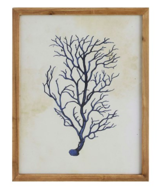 Indigo Coral Shells Framed