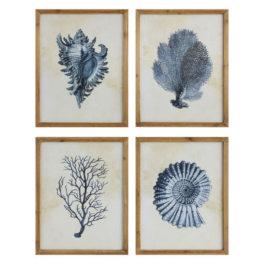 Indigo Coral Shells Framed