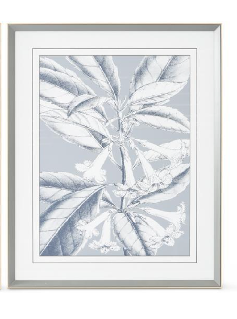 Grey White Botanical