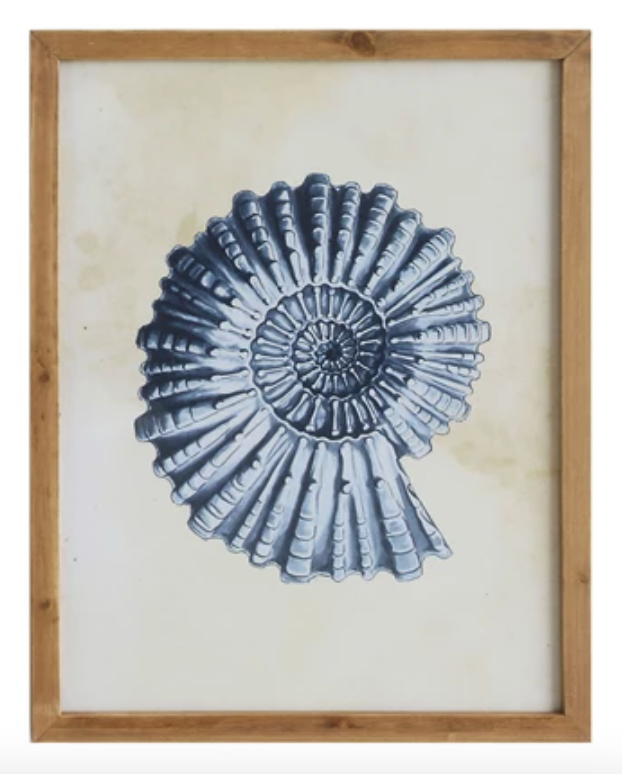Indigo Coral Shells Framed