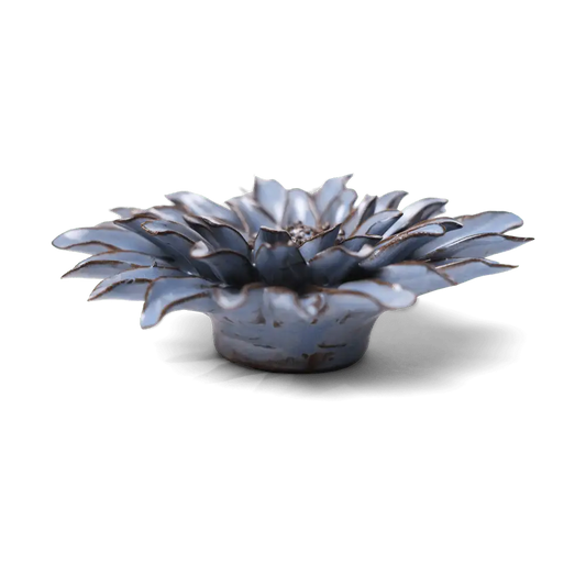 Blue Grey Gerbera Daisy