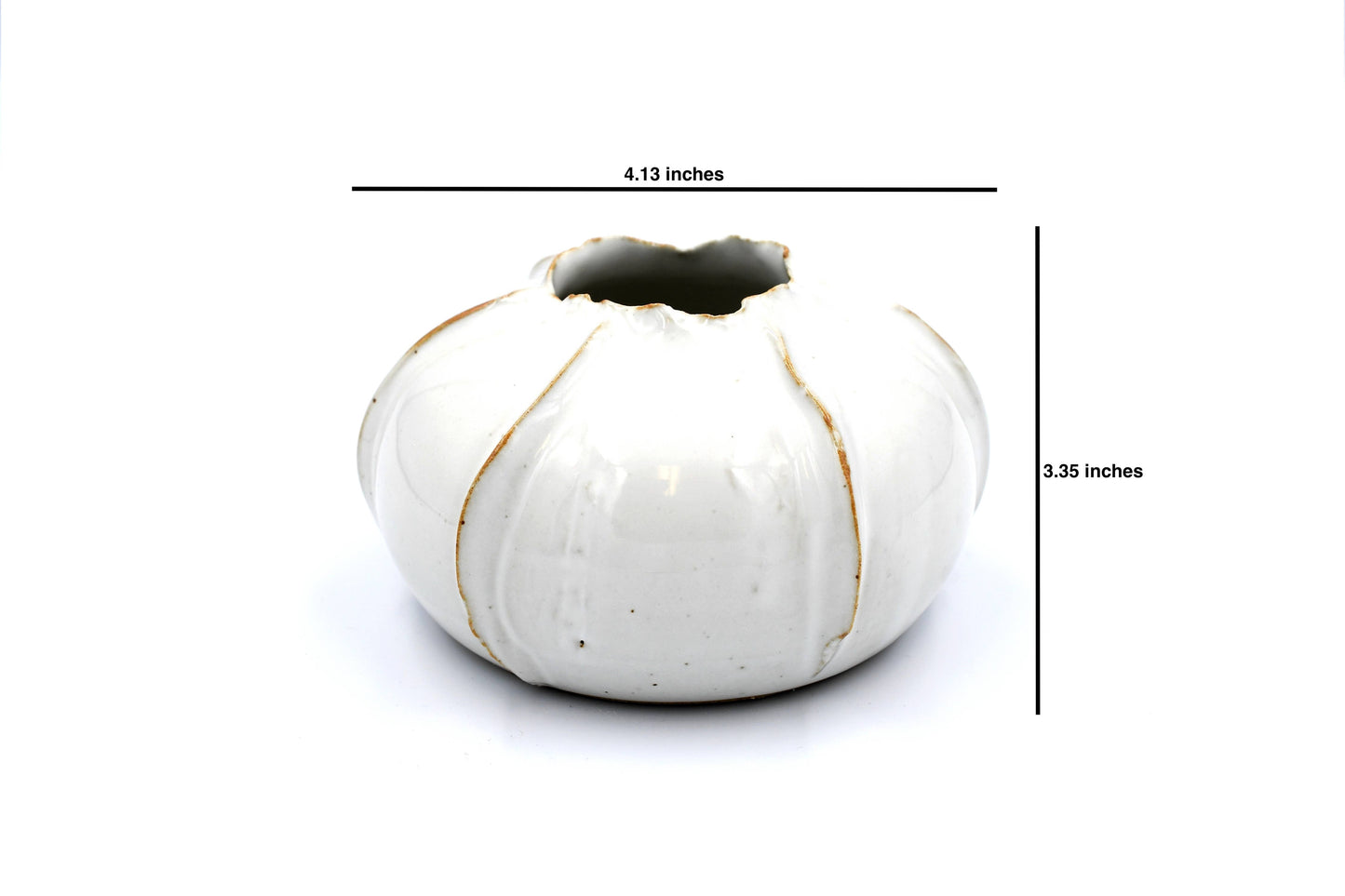 White Rose Apple Decor