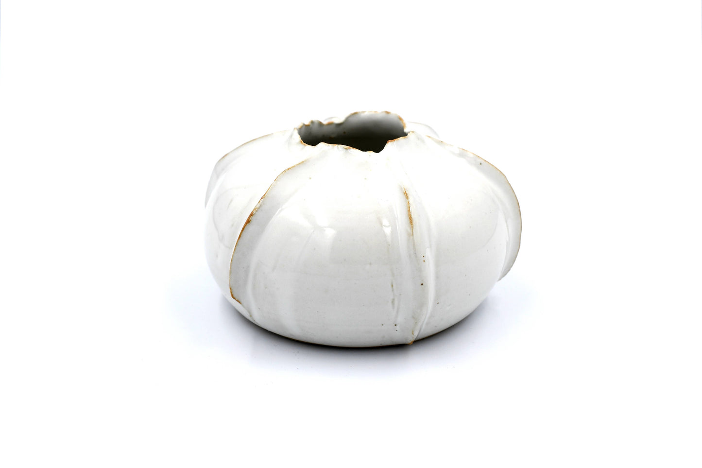 White Rose Apple Decor