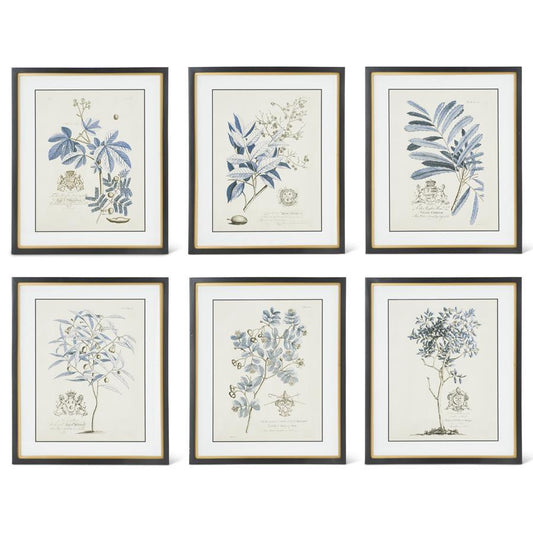 Blue Arbor Botanicals Framed