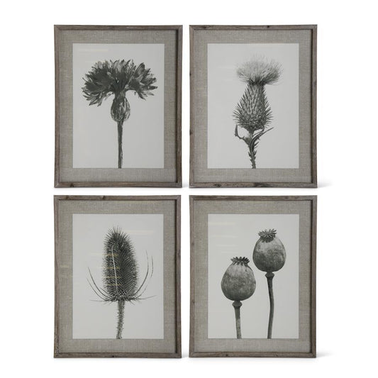 Framed Floral Stems