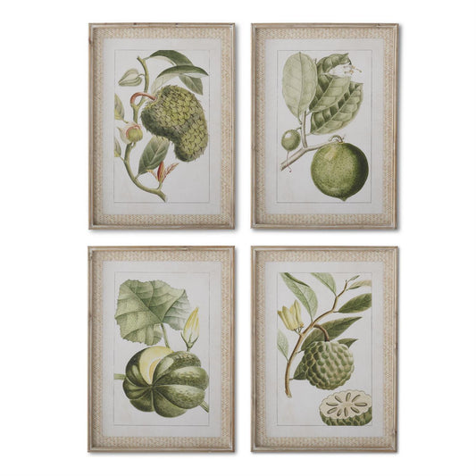 Framed Melon Prints