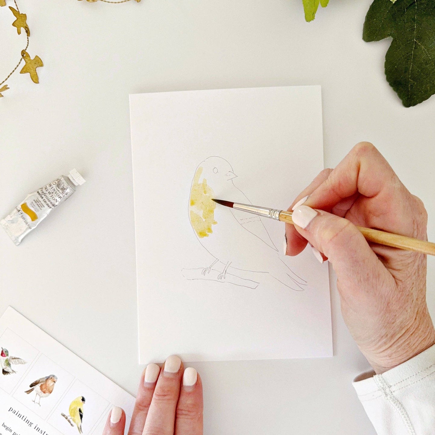 Backyard Birds Watercolor Notecards