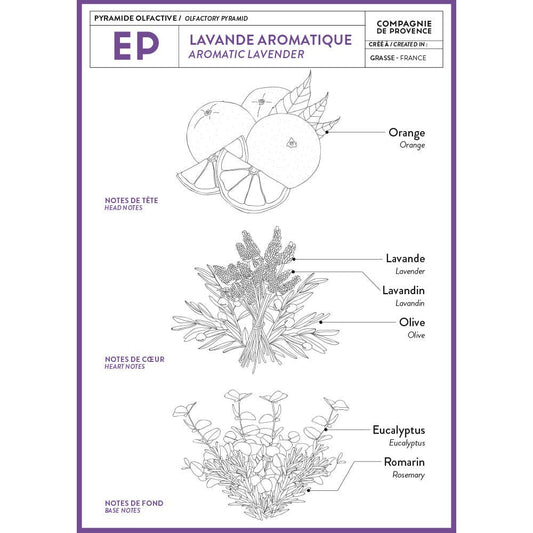 Aromatic Lavender Travel Hand Cream