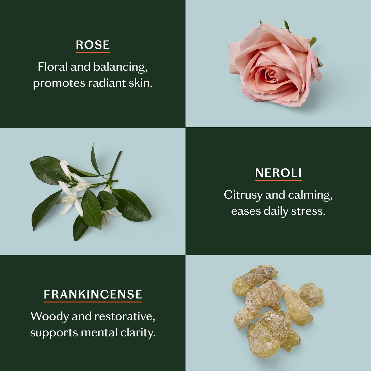 Daily Stone Mini Deep Lotion Bar