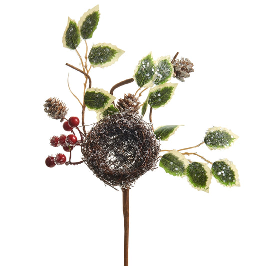 Iced Nest with Holly
