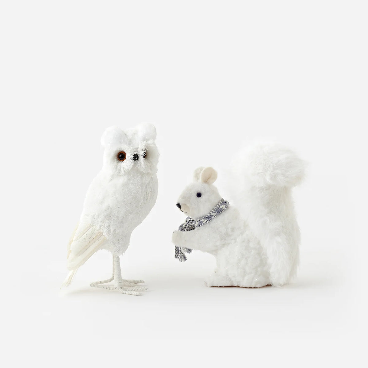 White Owl & Squirrel