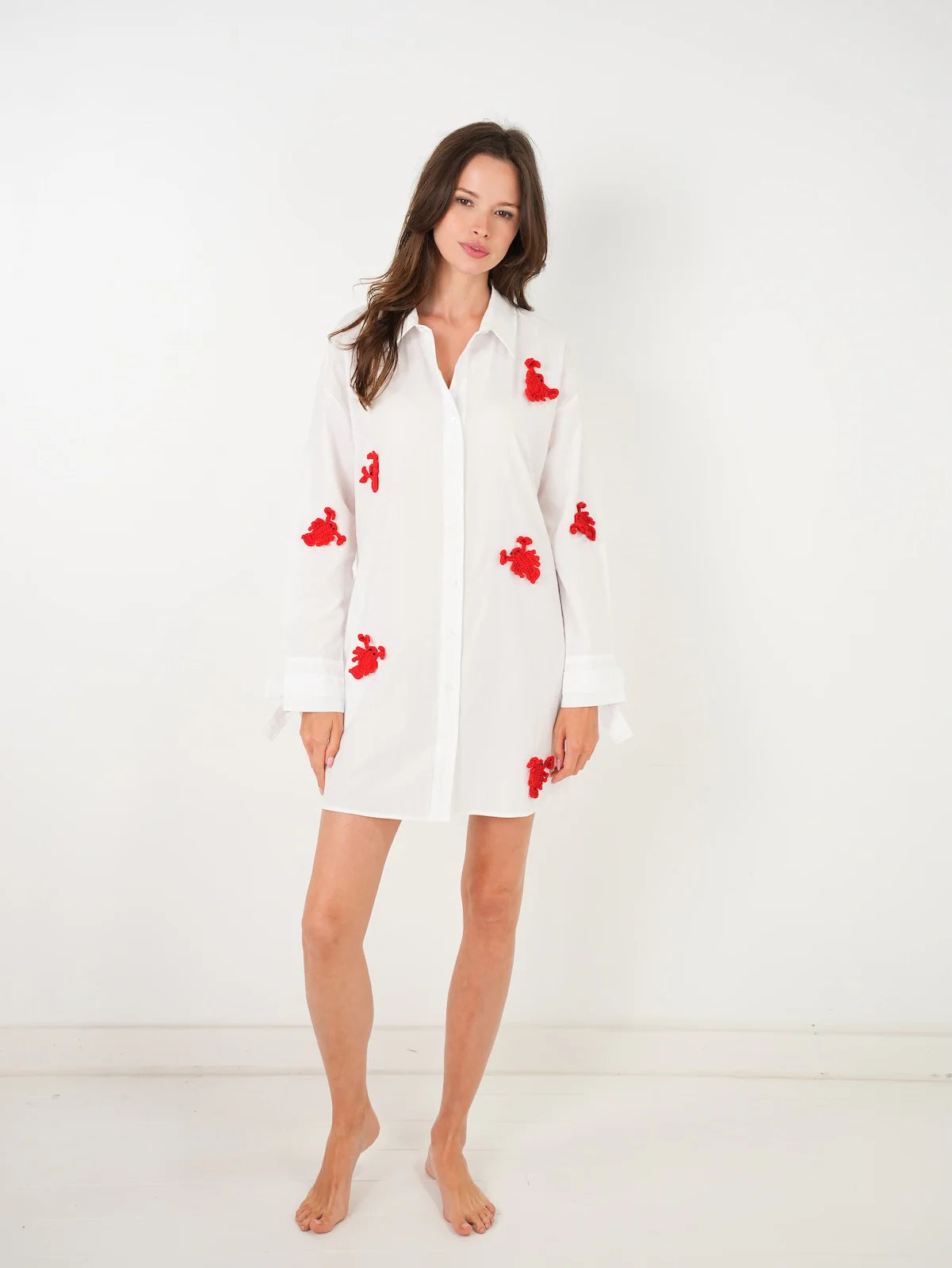 Lobster Roll Coverup
