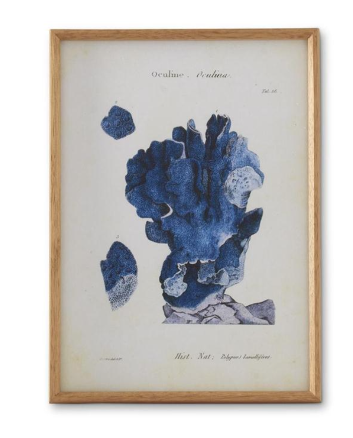 Blue Coral Print Natural Frame