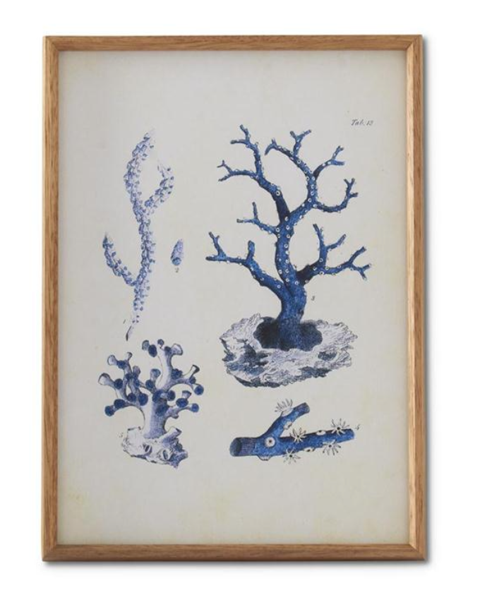 Blue Coral Print Natural Frame