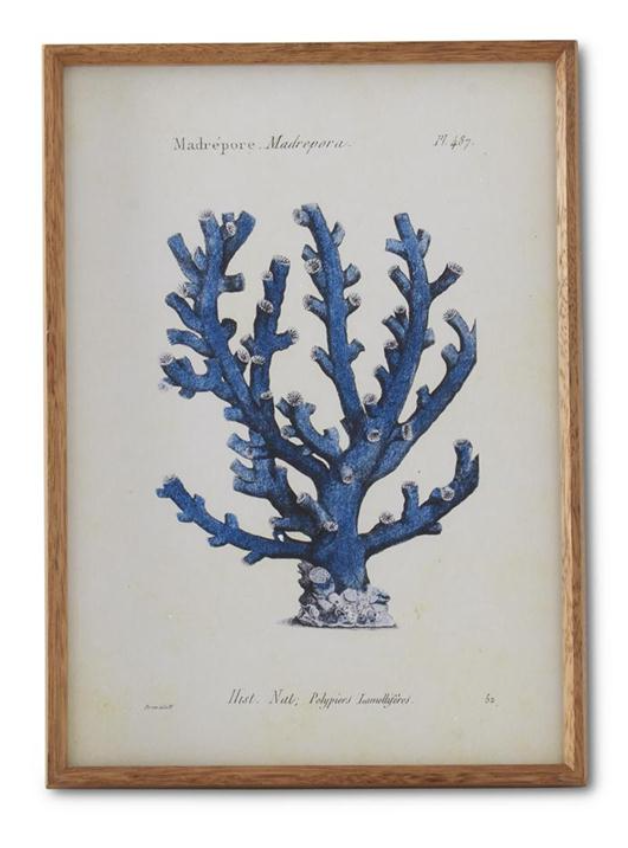 Blue Coral Print Natural Frame