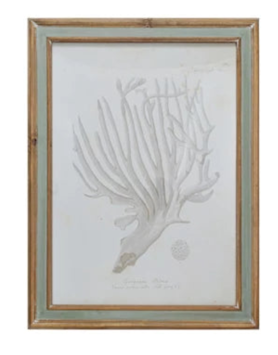 Neutral Coral Print Natural Frame