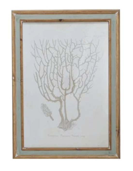 Neutral Coral Print Natural Frame