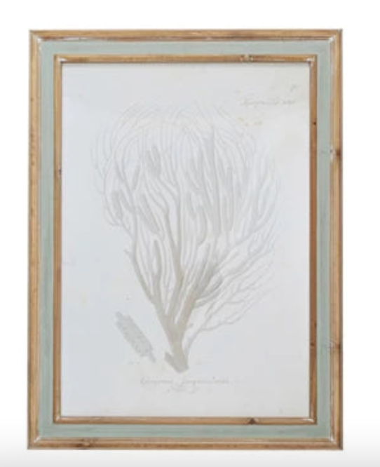 Neutral Coral Print Natural Frame