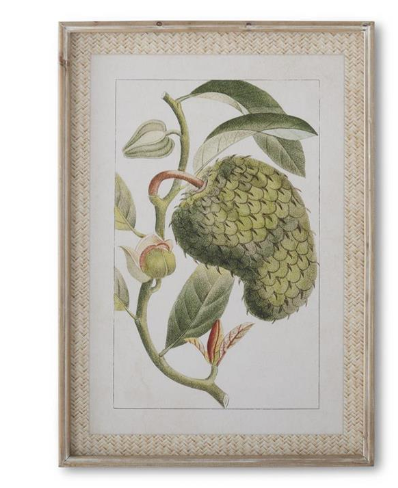 Framed Melon Prints