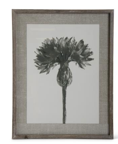 Framed Floral Stems