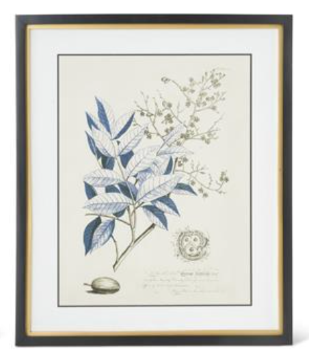 Blue Arbor Botanicals Framed