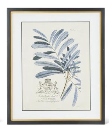 Blue Arbor Botanicals Framed