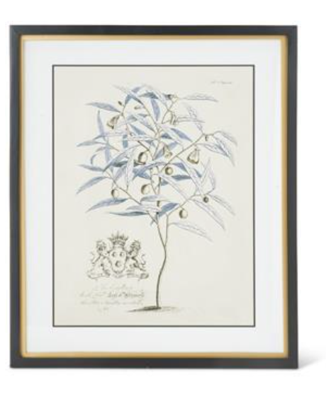 Blue Arbor Botanicals Framed