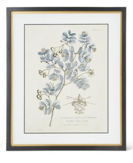 Blue Arbor Botanicals Framed