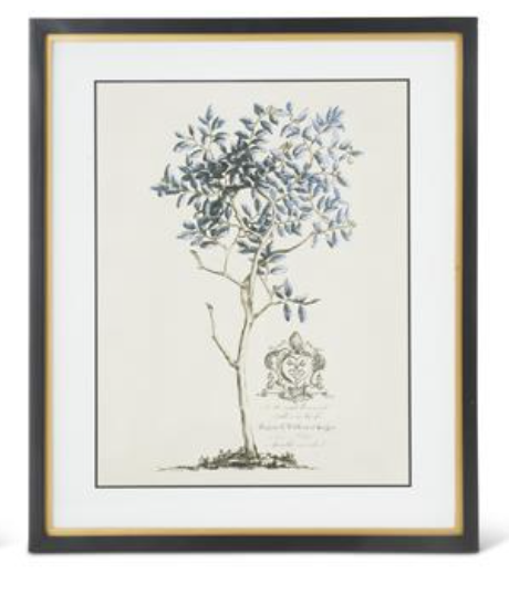 Blue Arbor Botanicals Framed