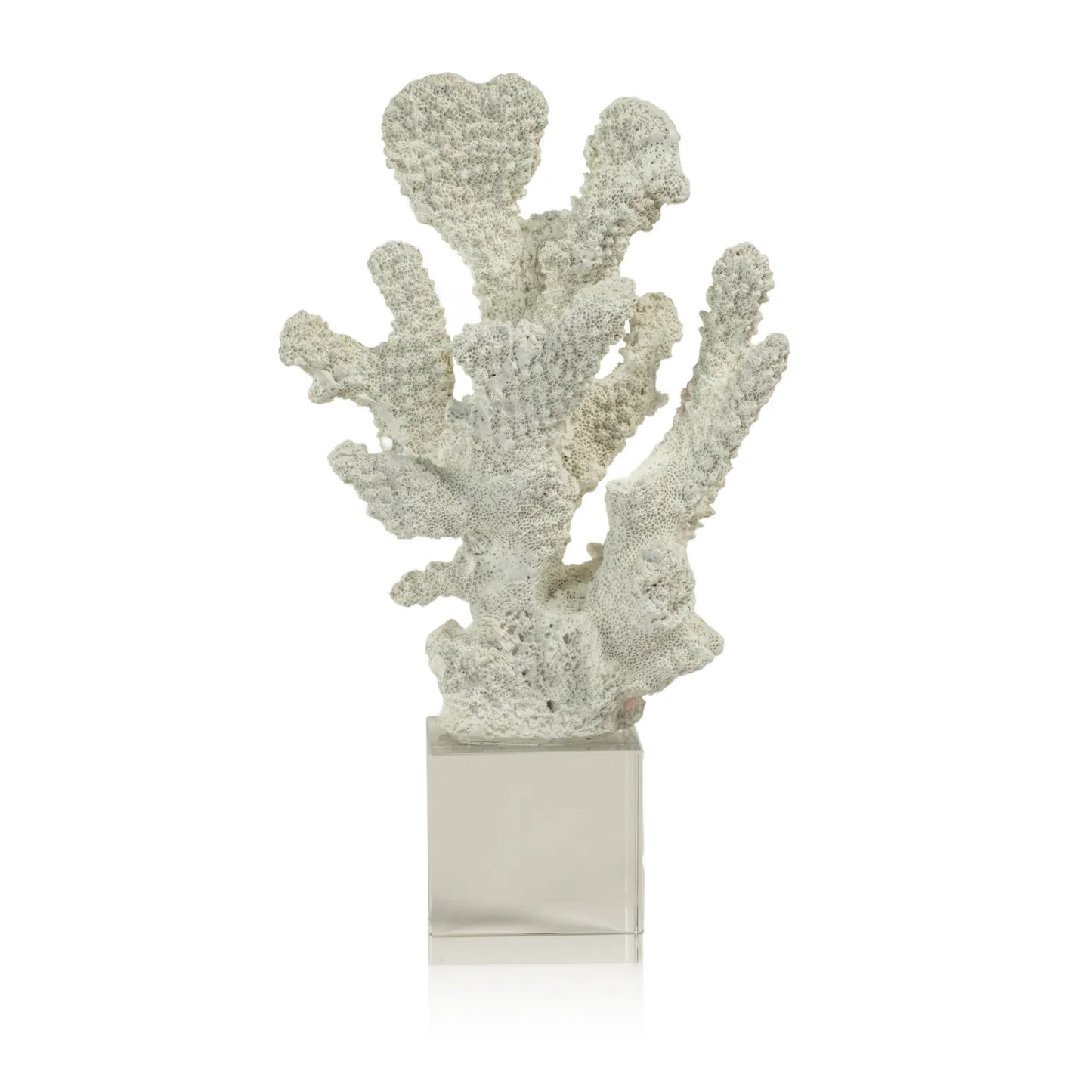 White Tall Coral on Acrylic