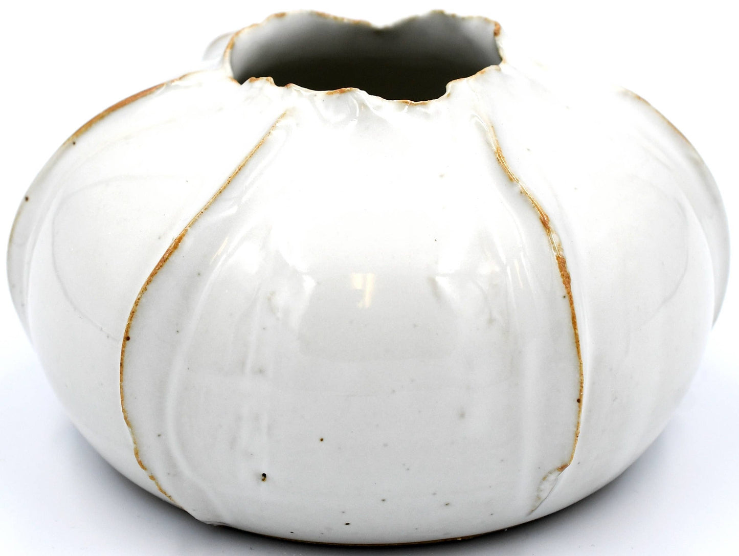 White Rose Apple Decor