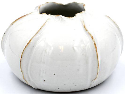 White Rose Apple Decor